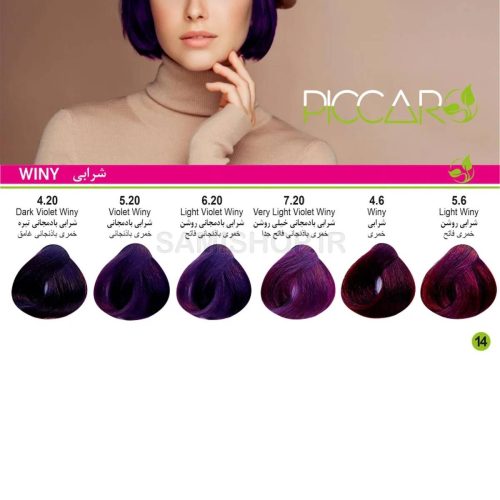 کاتالوگ پیکارو شرابی